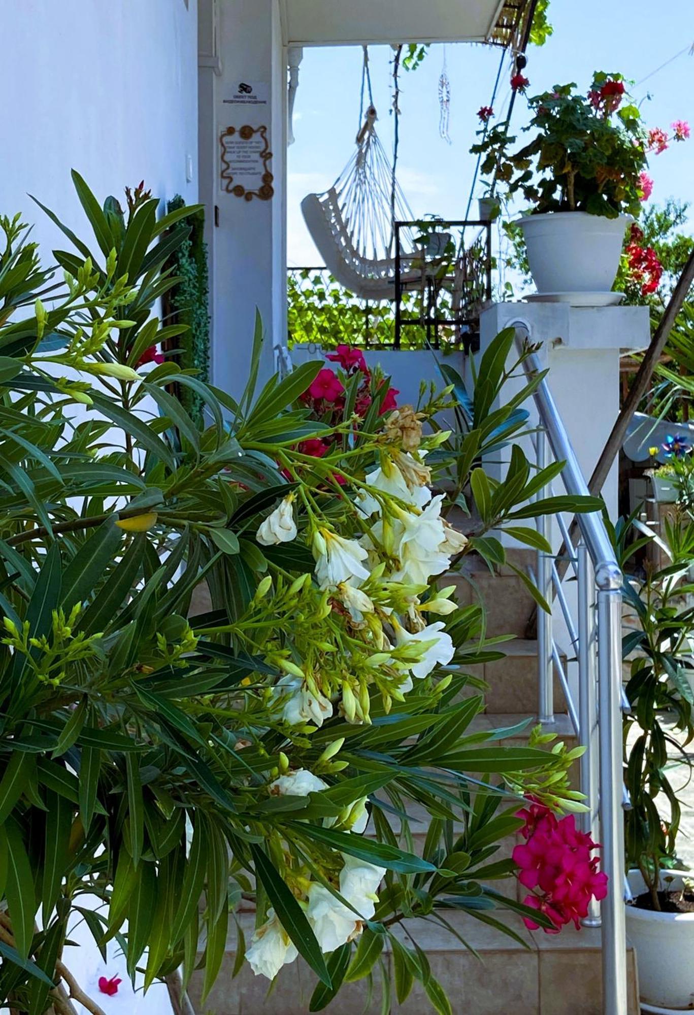 Guest House Hei Taka Szozopol Kültér fotó
